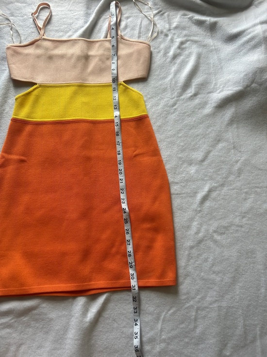 Endless Rose - Picture 7 of 9